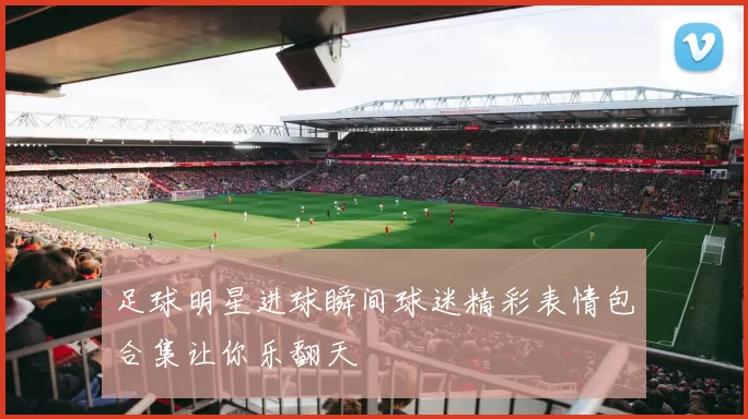 足球明星进球瞬间球迷精彩表情包合集让你乐翻天