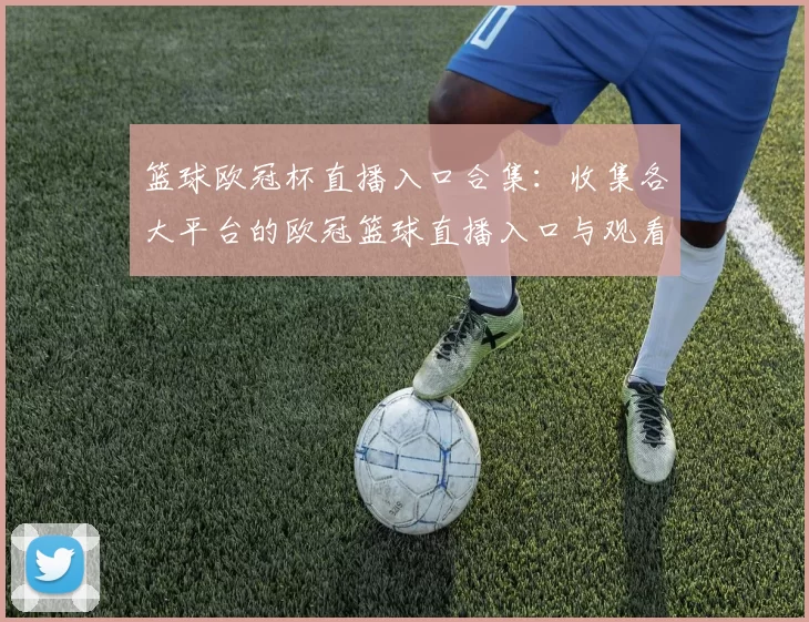 篮球欧冠杯直播入口合集：收集各大平台的欧冠篮球直播入口与观看方式