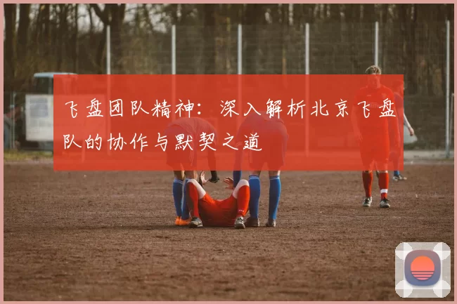 飞盘团队精神：深入解析北京飞盘队的协作与默契之道