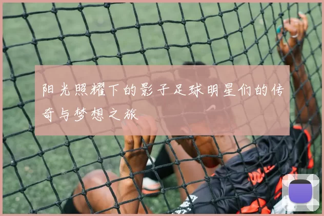 阳光照耀下的影子足球明星们的传奇与梦想之旅