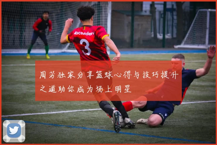 周芳独家分享篮球心得与技巧提升之道助你成为场上明星