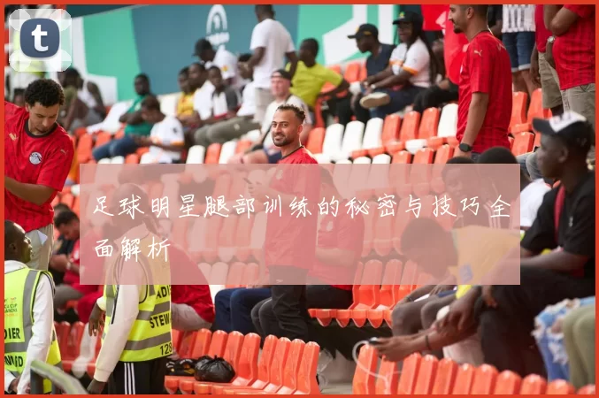 足球明星腿部训练的秘密与技巧全面解析