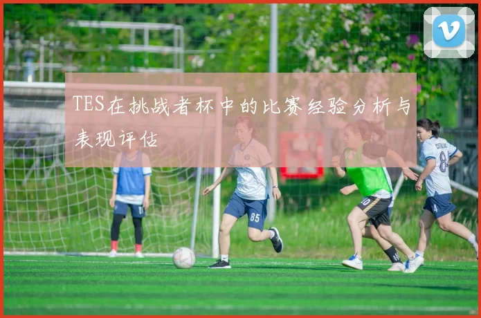TES在挑战者杯中的比赛经验分析与表现评估