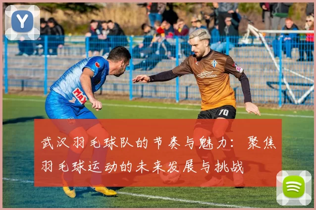 武汉羽毛球队的节奏与魅力：聚焦羽毛球运动的未来发展与挑战
