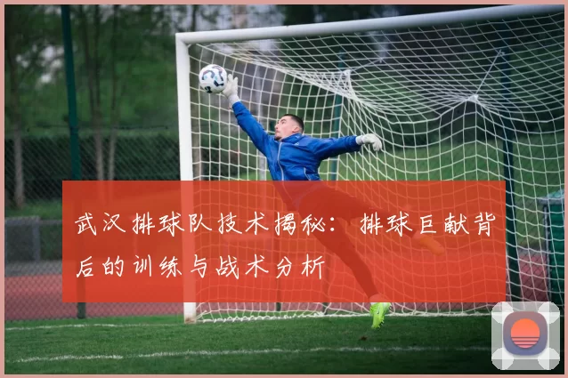 武汉排球队技术揭秘：排球巨献背后的训练与战术分析