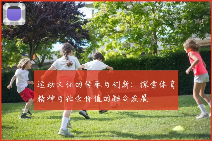 运动文化的传承与创新：探索体育精神与社会价值的融合发展