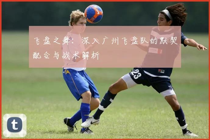 飞盘之舞：深入广州飞盘队的默契配合与战术解析