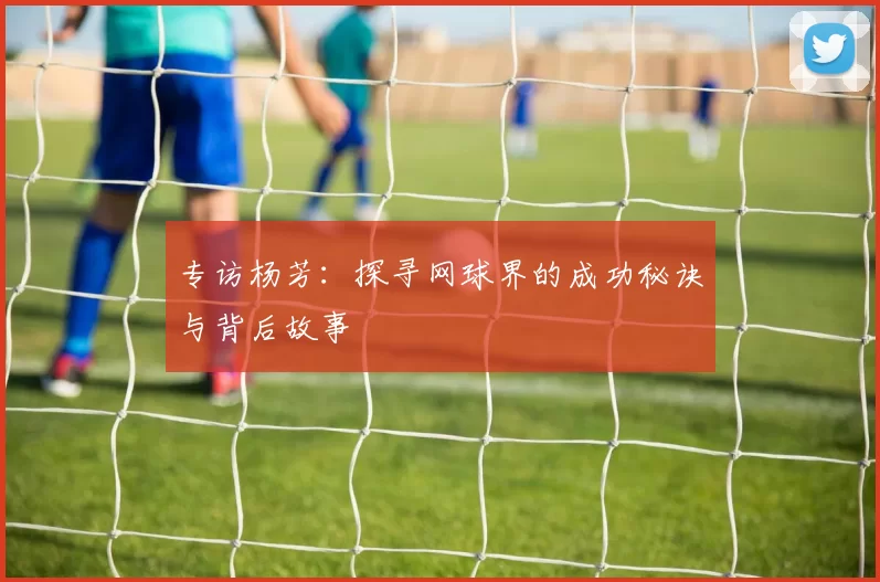 专访杨芳：探寻网球界的成功秘诀与背后故事