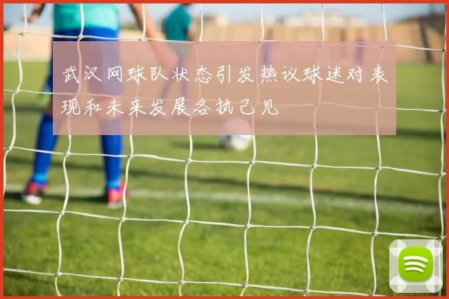 武汉网球队状态引发热议球迷对表现和未来发展各执己见