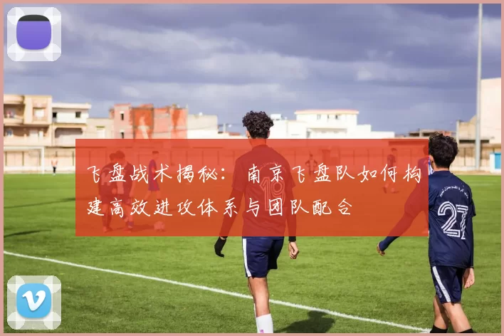 飞盘战术揭秘：南京飞盘队如何构建高效进攻体系与团队配合