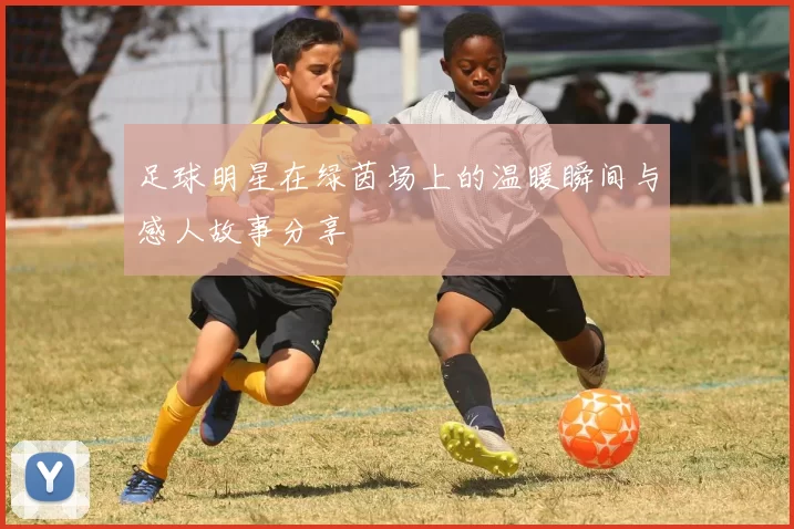 足球明星在绿茵场上的温暖瞬间与感人故事分享