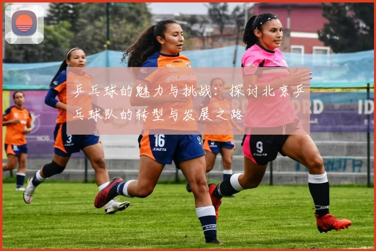 乒乓球的魅力与挑战：探讨北京乒乓球队的转型与发展之路