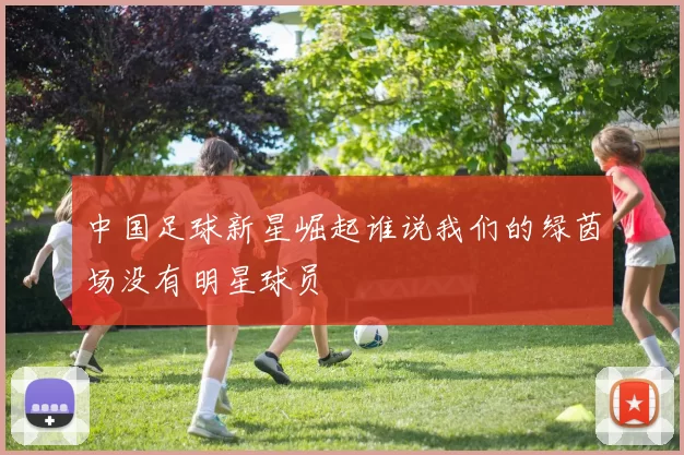 中国足球新星崛起谁说我们的绿茵场没有明星球员