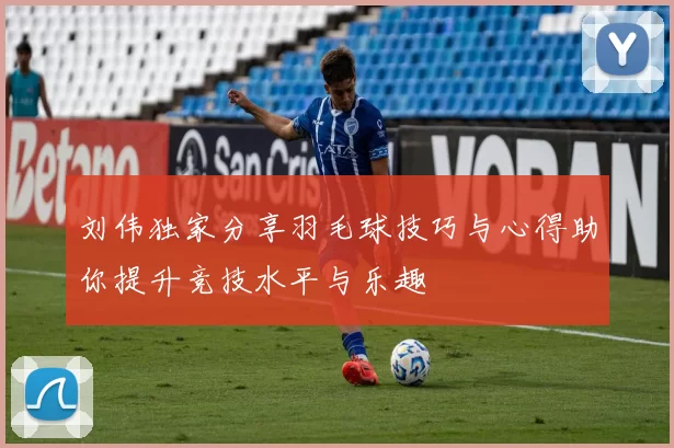 刘伟独家分享羽毛球技巧与心得助你提升竞技水平与乐趣