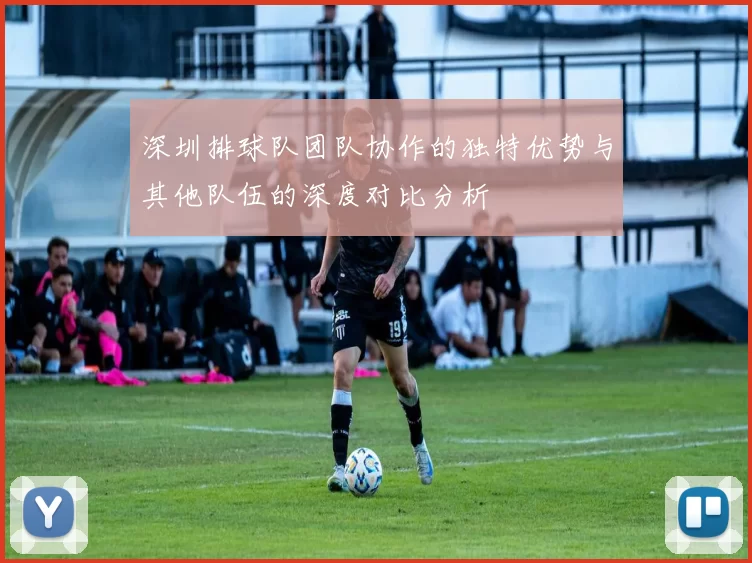 深圳排球队团队协作的独特优势与其他队伍的深度对比分析