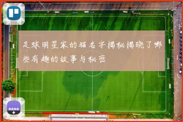足球明星家的猫名字揭秘揭晓了哪些有趣的故事与秘密